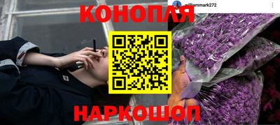 прущая мука Волжский