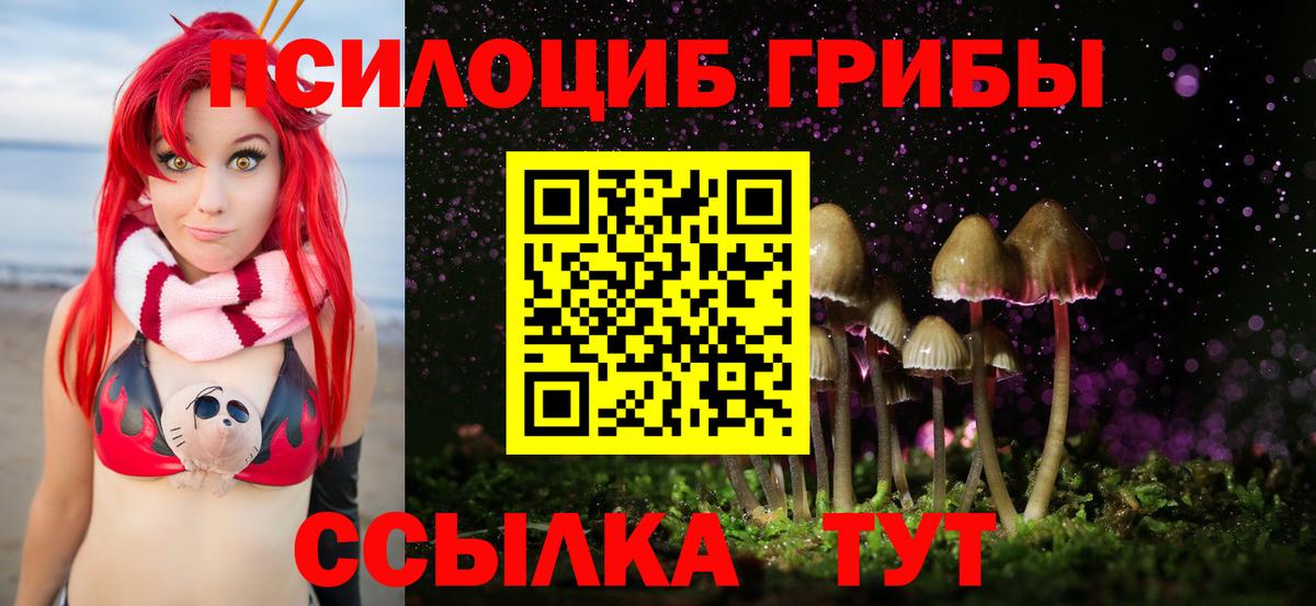 наркотики  Галлюциногенные грибы GOLDEN TEACHER  Вход с VPN  Набережные Челны 