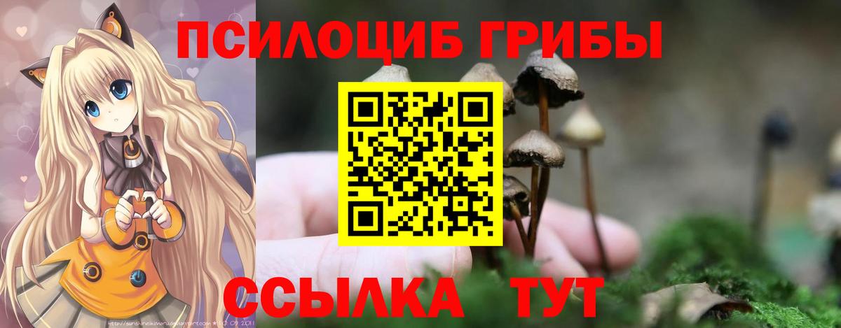 Галлюциногенные грибы Cubensis Набережные Челны